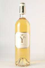 와이 디캠 2008