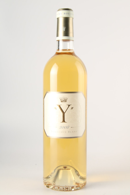 와이 디캠 2008