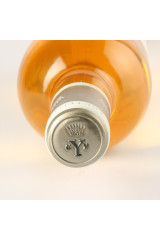 와이 디캠 2008