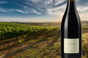DOMAINE DU CLOS DES FÉES 작은 시베리아 매그넘 2012