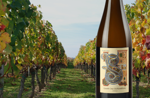 DOMAINE MARCEL DEISS 2022