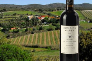 DOMAINE GAUBY 문타다 2008